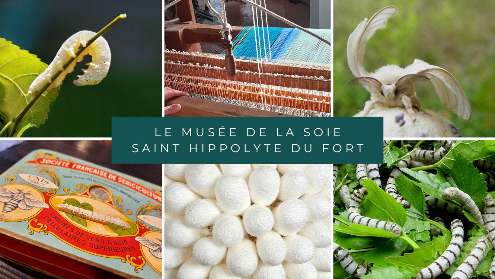 Visite commentée du Musée de la soie