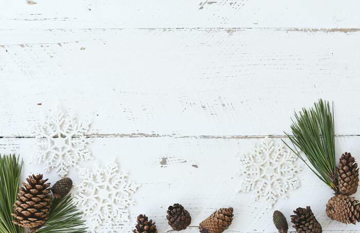 Atelier spécial Noël avec Le Bocal Local et Solidar