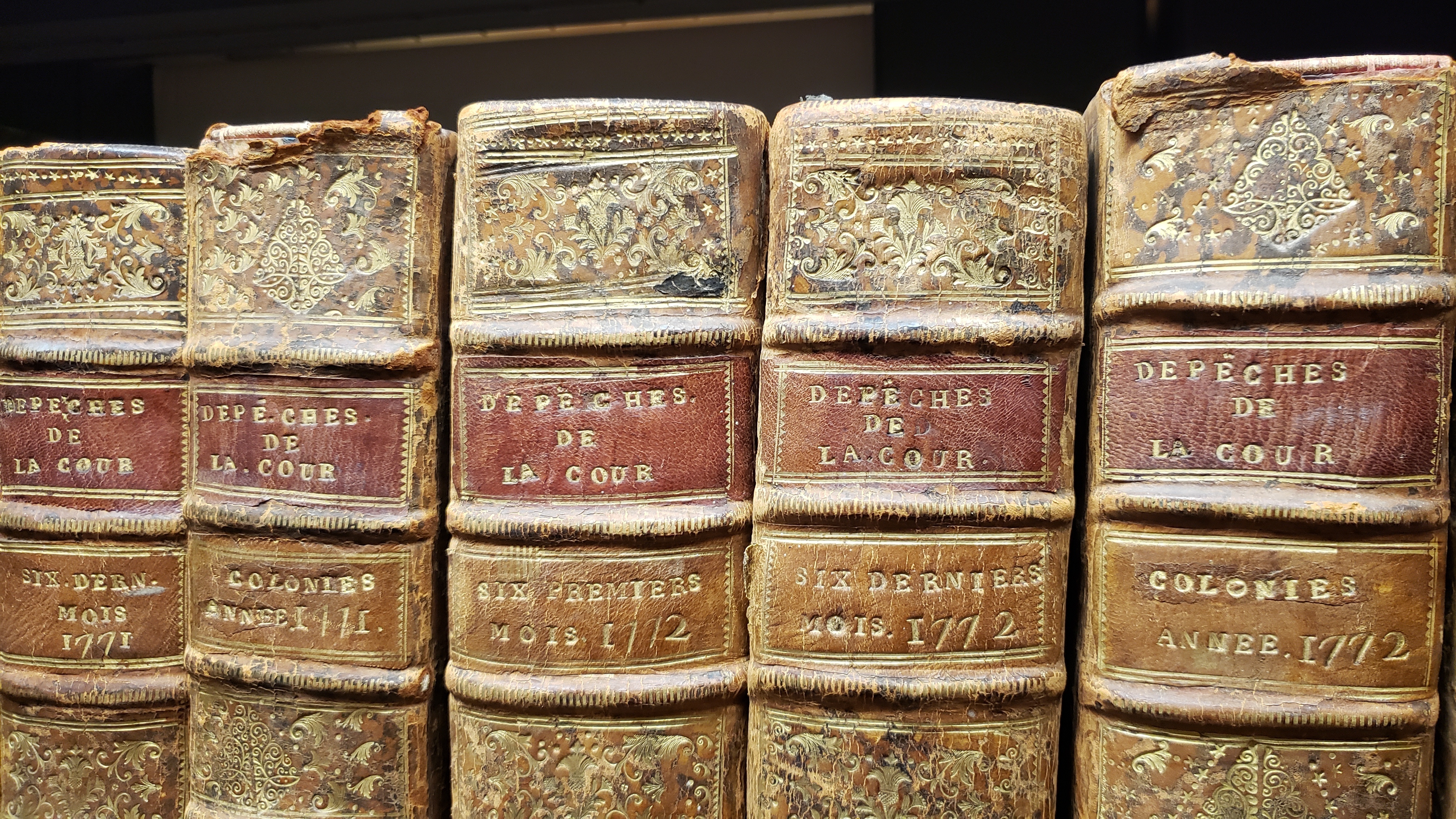 Entrez dans les coulisses d'un magasin de conservation