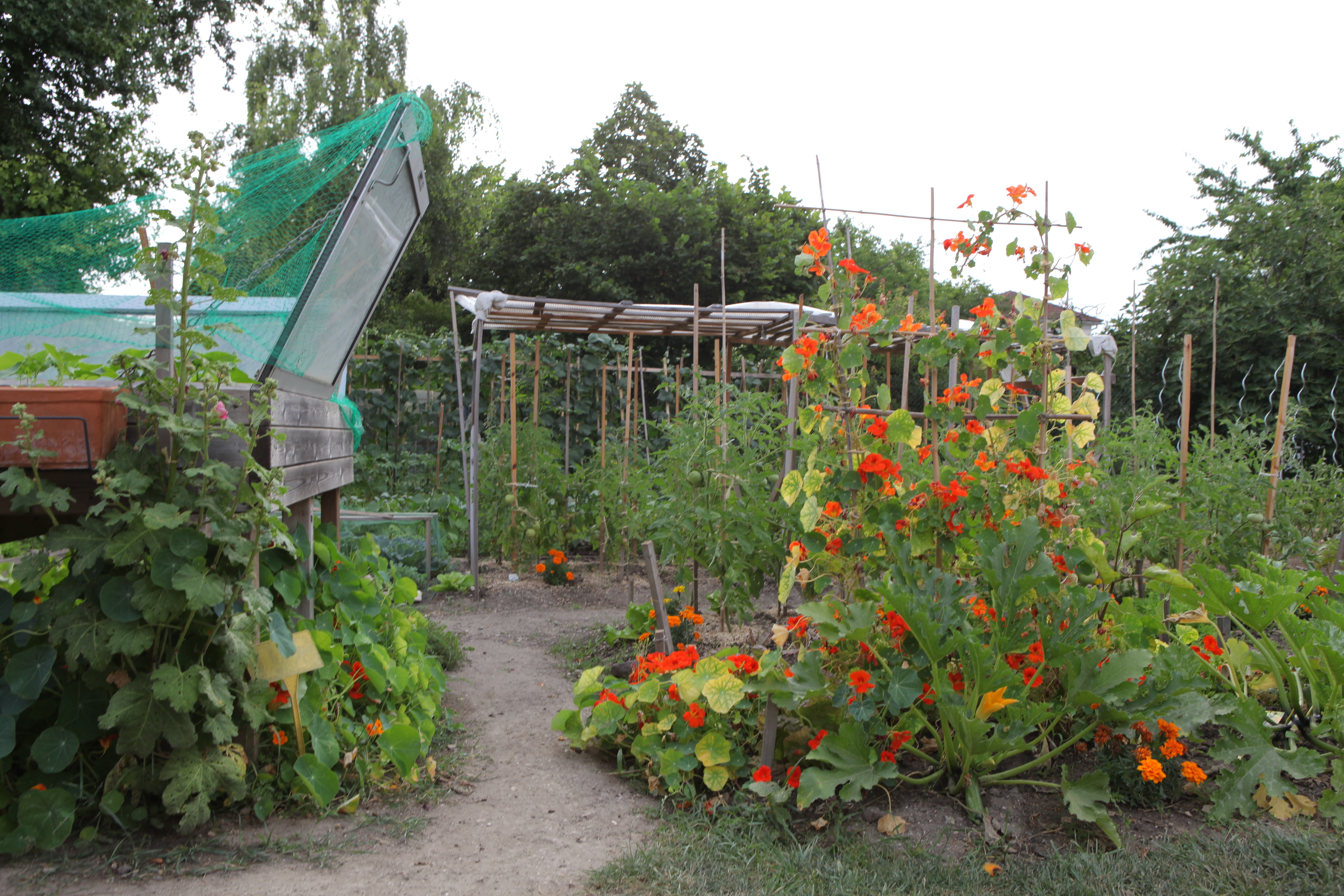 Portes ouvertes des jardins partagés