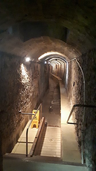 Visite de la piscine Jutier