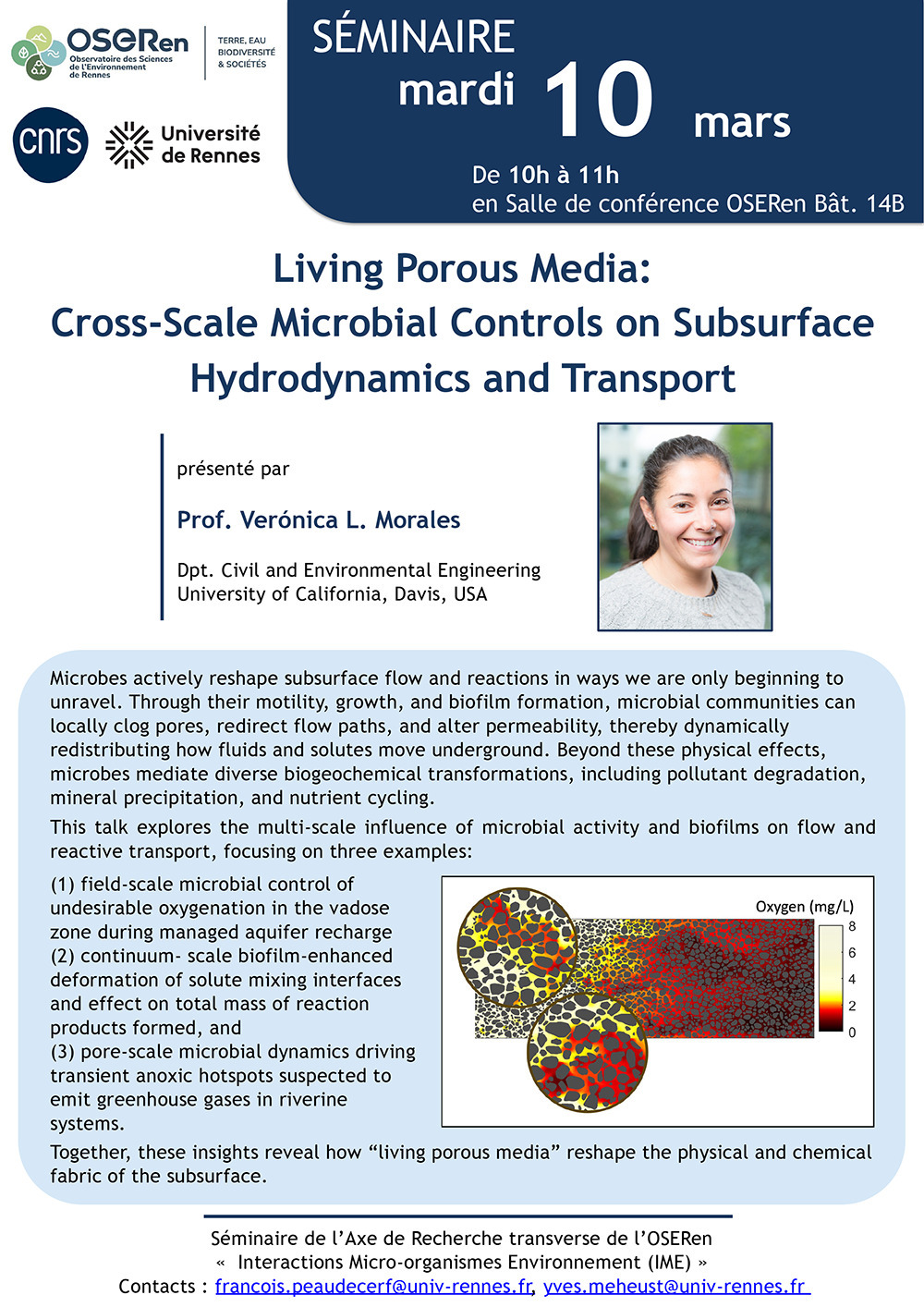 Séminaire de Verónica L. Morales (University of California, Davis, USA) dans le cadre du cycle de séminaires de l'axe transverse IME de l'OSERen