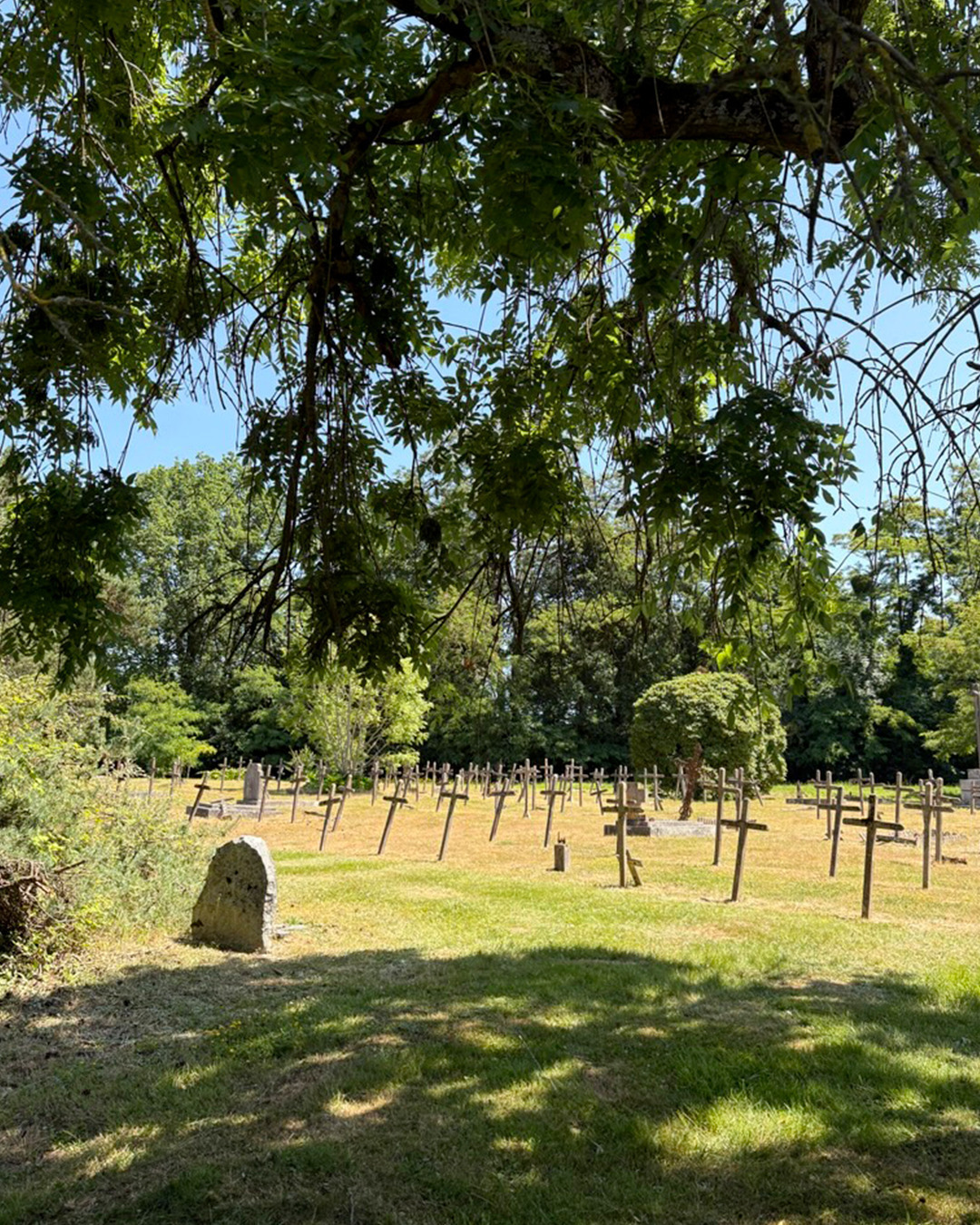 Visite du cimetière historique de l'établissement de psychiatrie - Mayenne