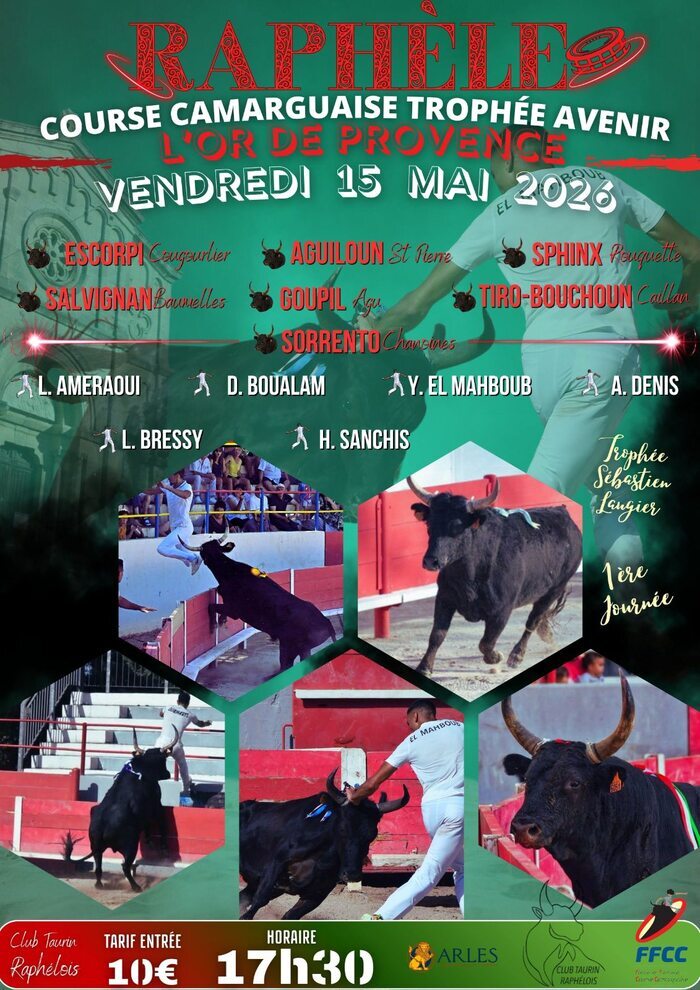 Course camarguaise : l'Or de Provence