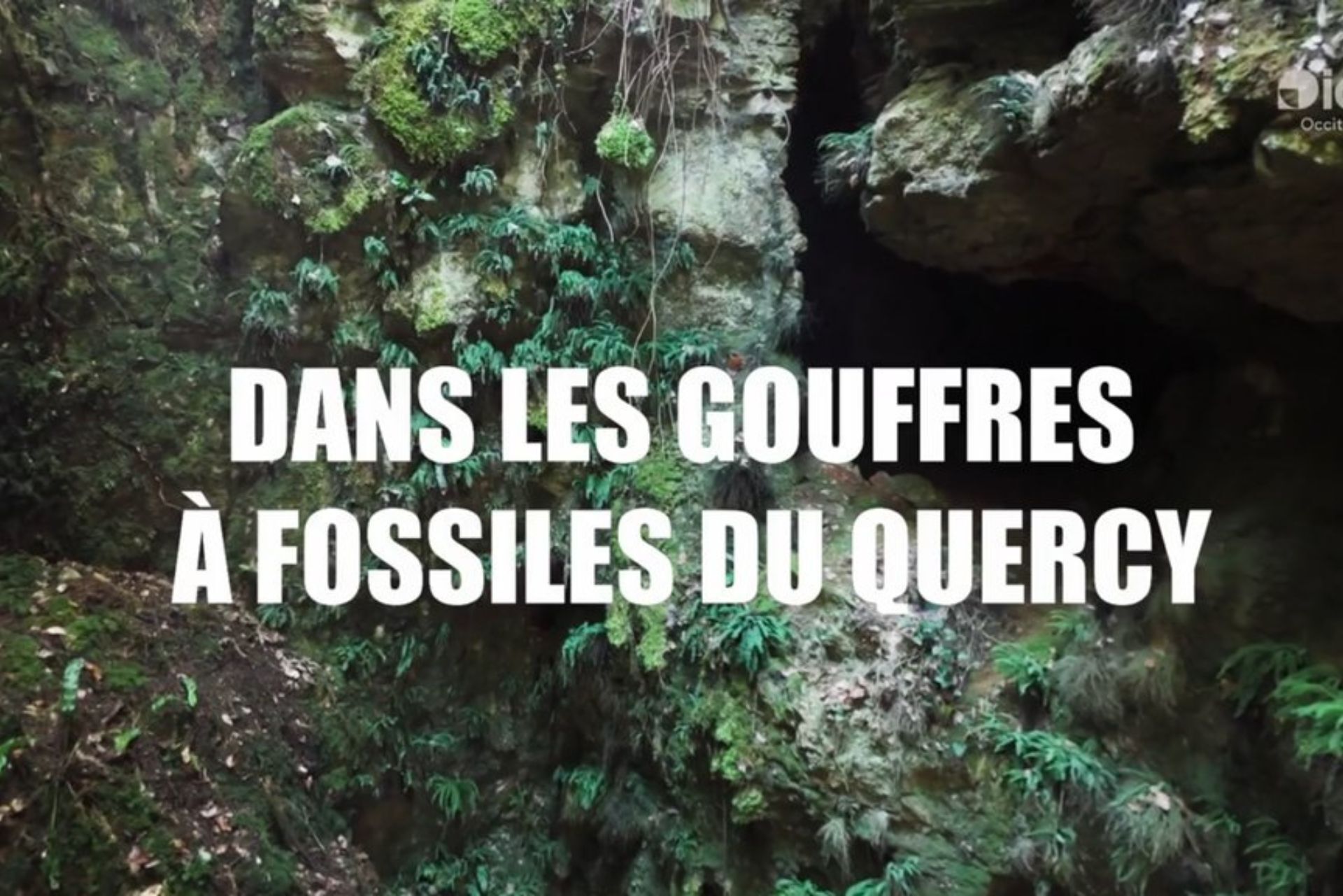 Université du Potager du Dauphin | Jeudis du CNRS - Dans les gouffres à fossiles du Quercy