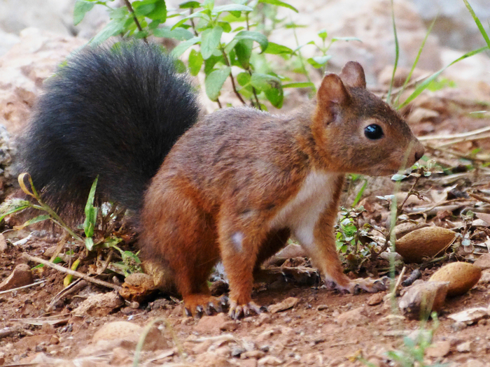 Sortie coorganisée par Île-de-France Nature