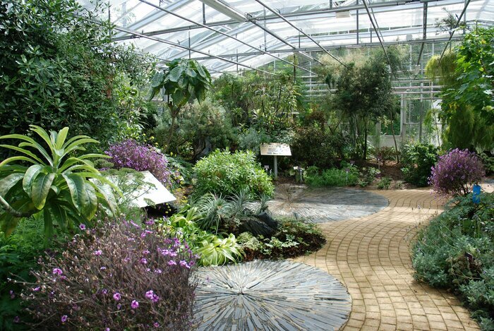 Visite en autonomie des serres tropicales