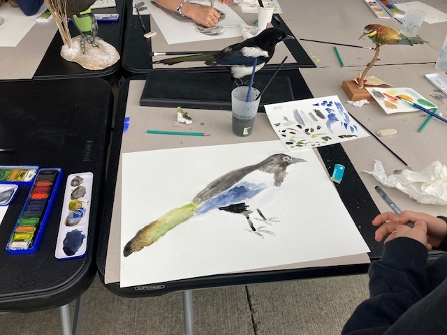 Atelier de dessin naturaliste : aquarelles d'oiseaux