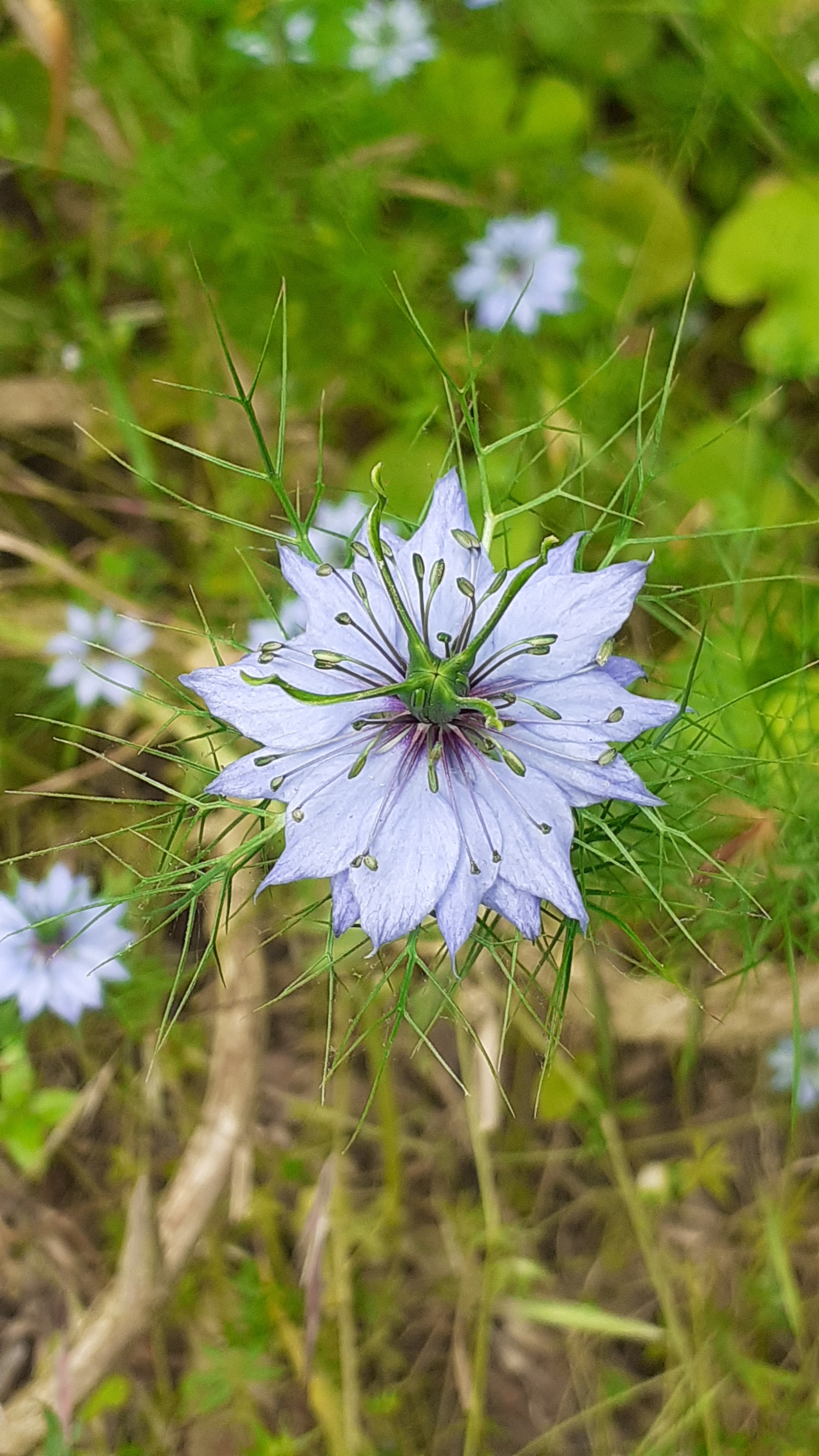 Exposition photos du jardin
