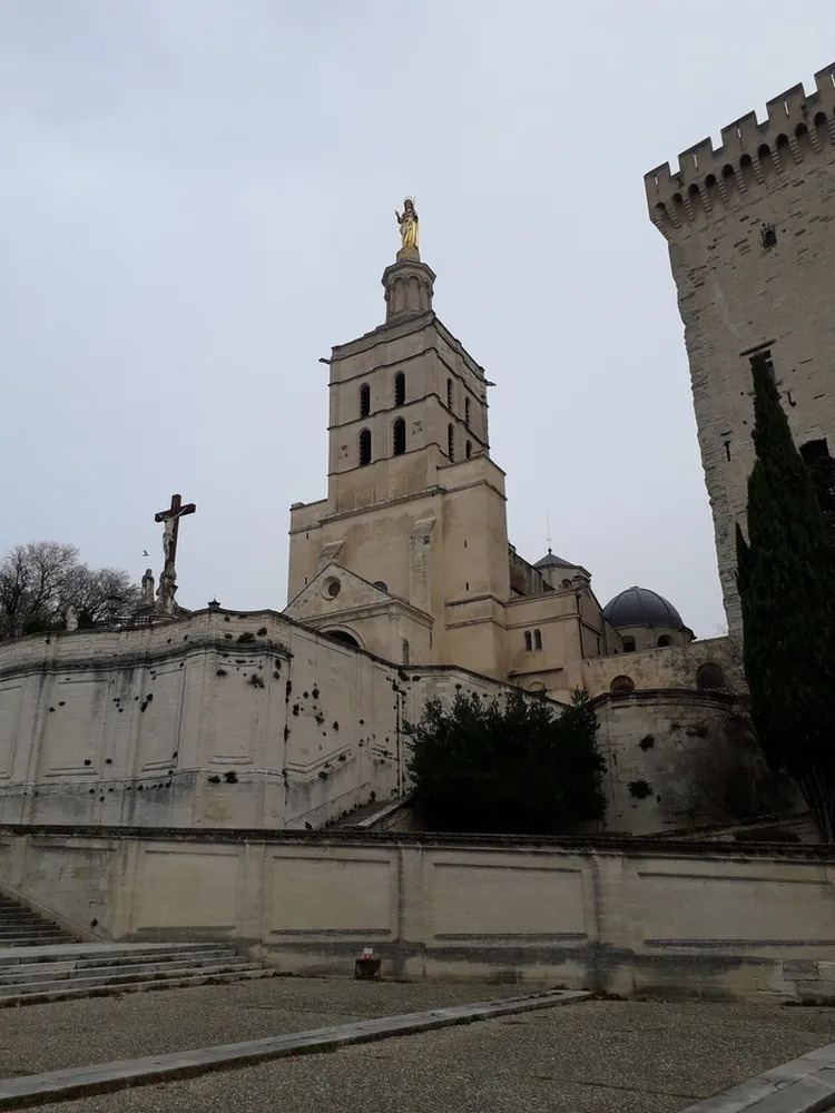 Visite de la Basilique Métropolitaine Notre-Dame-des-Doms