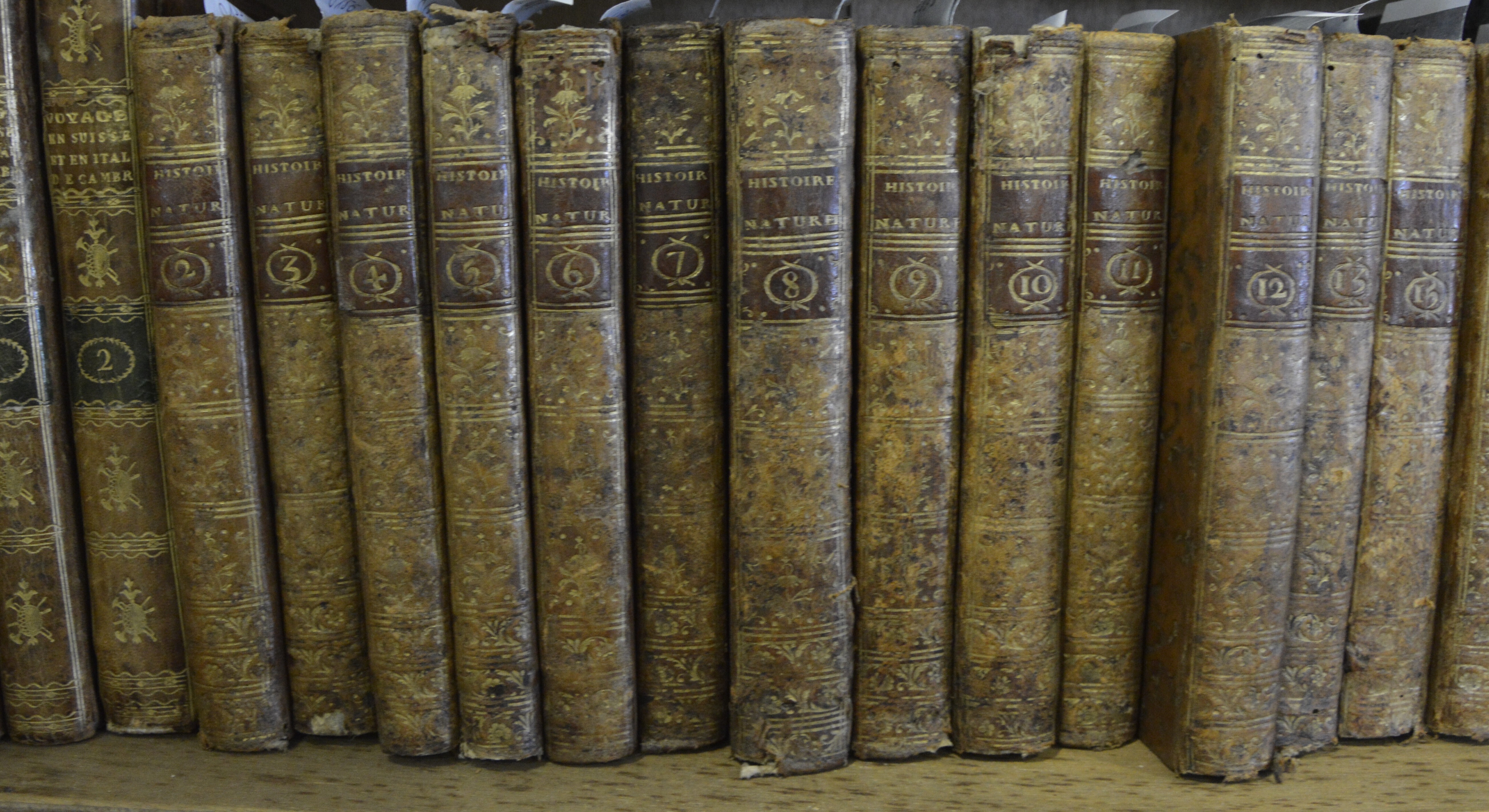 Découvrir une bibliothèque patrimoniale