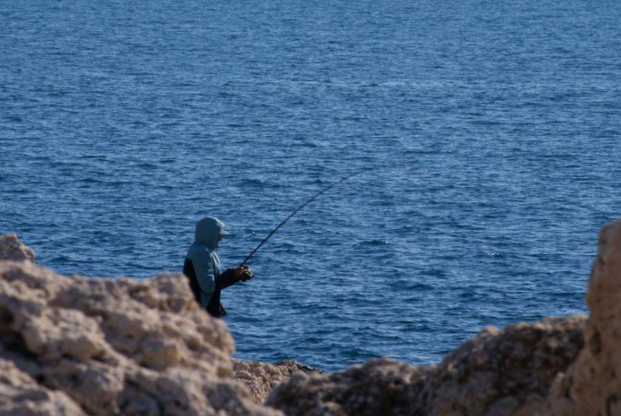 Atelier pêche durable : devenez les gardiens de nos océans