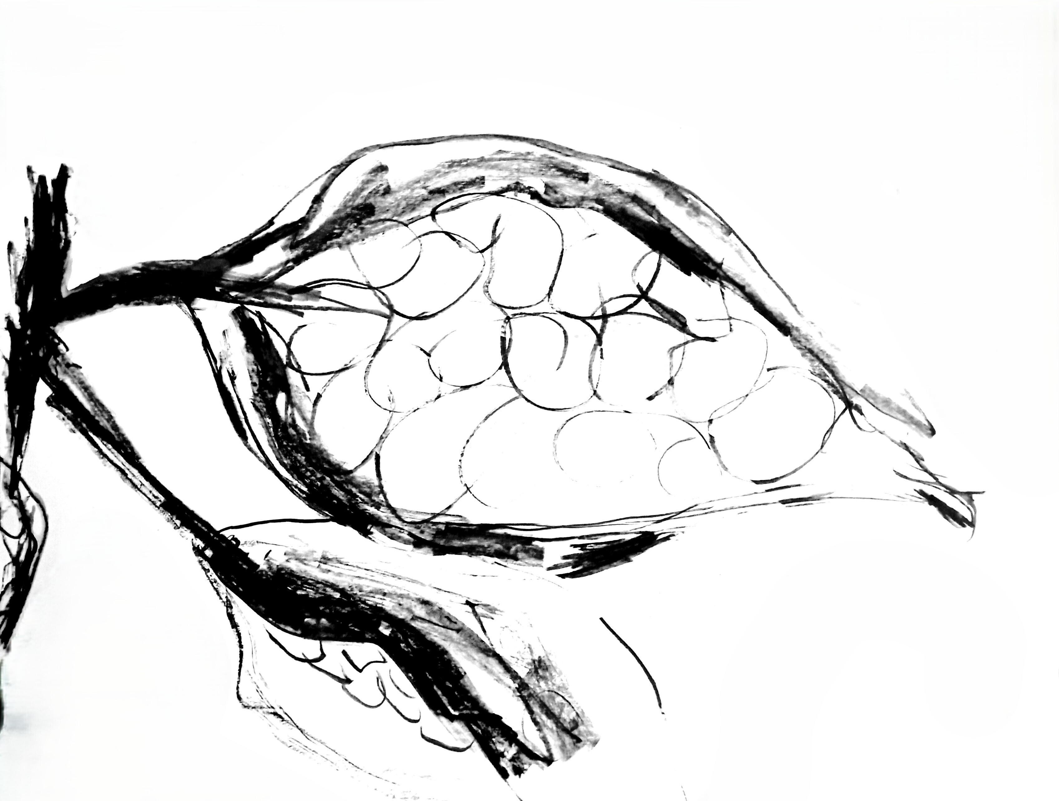 L'encre et le geste