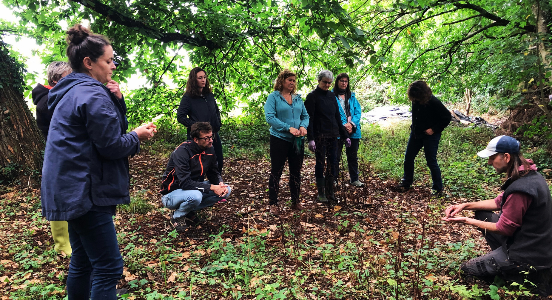Stage 1 jour : Concevoir un jardin multi-étagé : le jardin-forêt