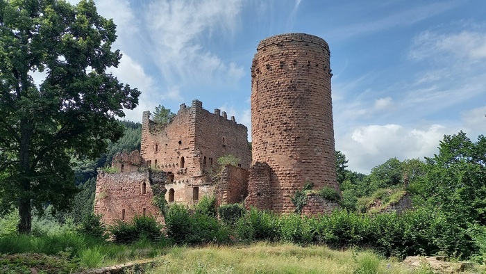 [STRASBOURG] Rencontre conviviale avec les audacieux.ses strasbourgeois.es