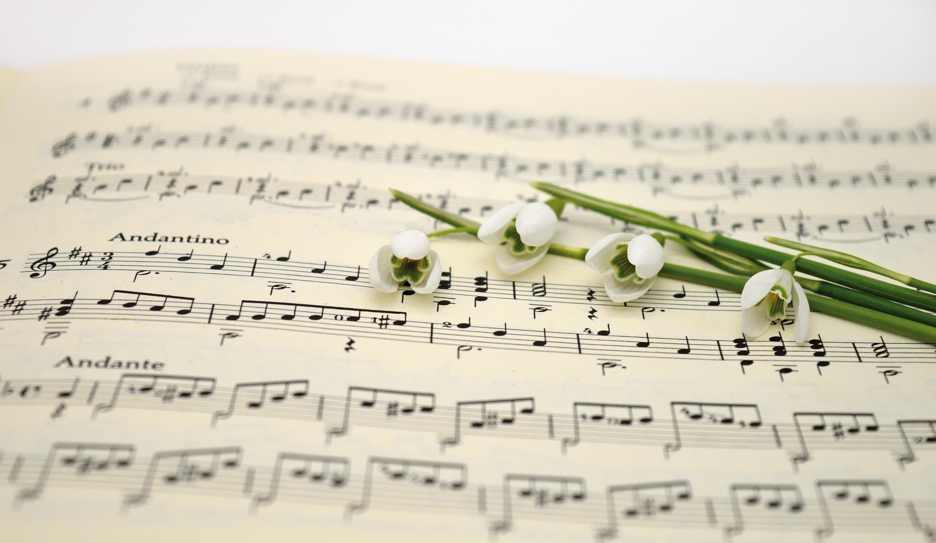 Les moments musicaux