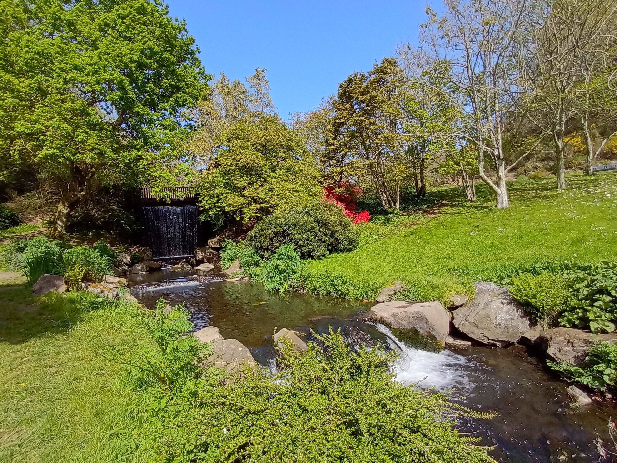 Visite guidée du jardin botanique