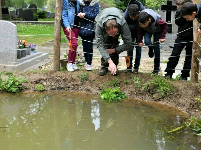 La mare du Cimetière du Sud