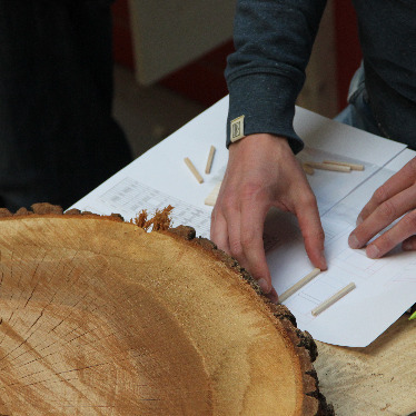 ARBOREACARLO, jeu de simulation sur la gestion durable des forêts avec Chaire UNESCO  Université de Bordeaux Montaigne
