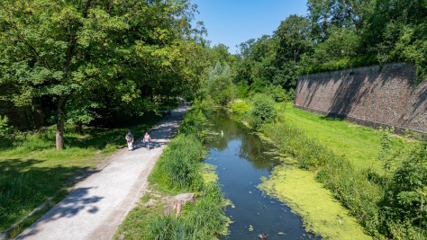 Ca grouille sous l'eau des douves !
