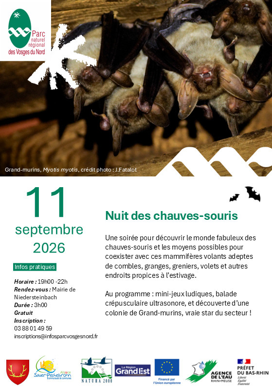 Nuit des chauves-souris