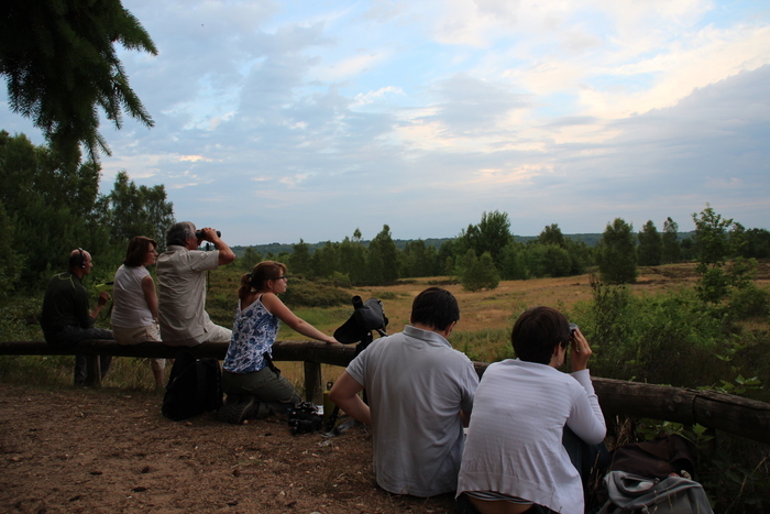 Sortie nature coorganisée par l'Agence des Espaces Verts d'Île de France
