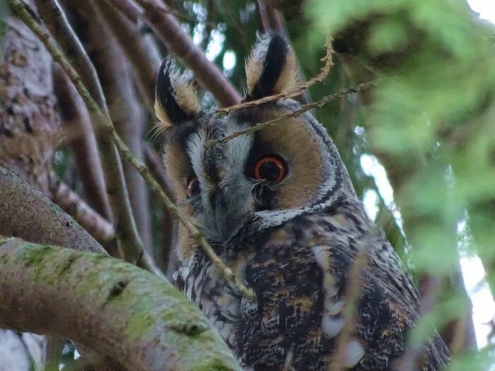 Sortie coorganisée par Île-de-France Nature