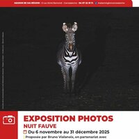 Exposition "Nuit Fauve" de Bruno Vialaneix