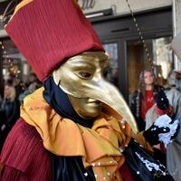 Carnaval de Limoux : "Les Jouves & les Limouxins"