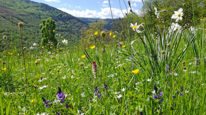 Le bonheur est dans le pré ! (43)