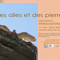 Expo - Des ailes et des pierres