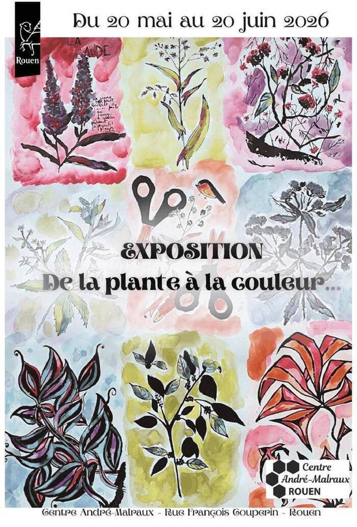 Ateliers plantes tinctoriales