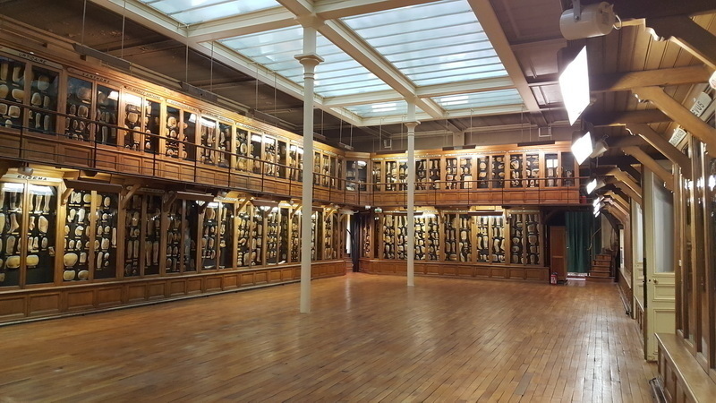 Visite d'une collection de cires pathologiques