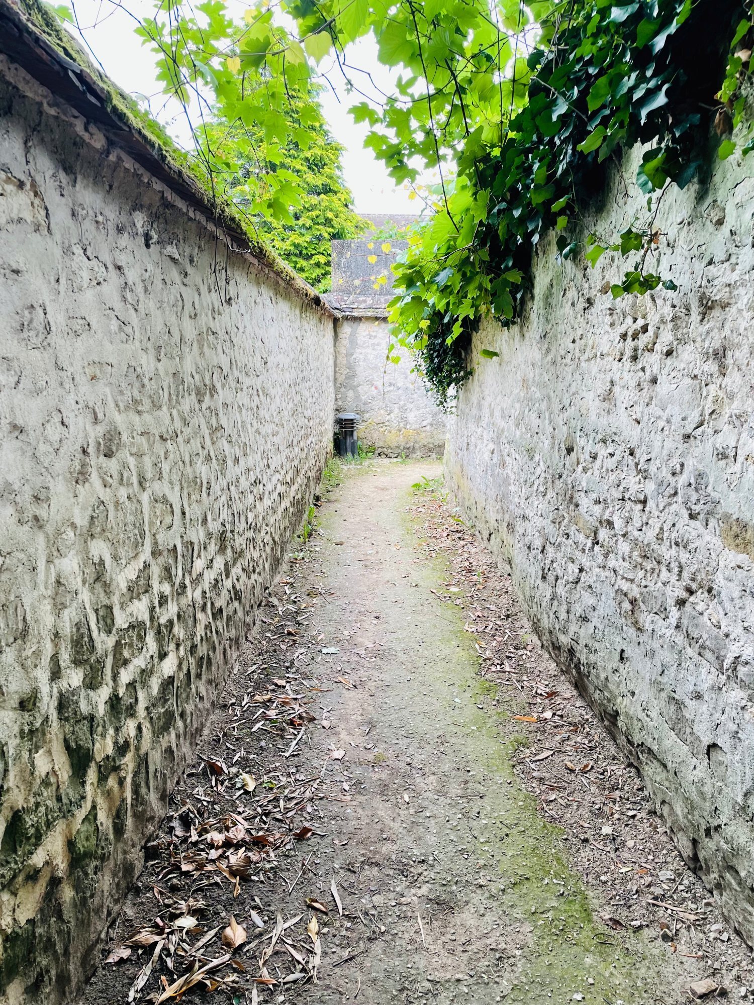 Balade aux chandelles dans les venelles
