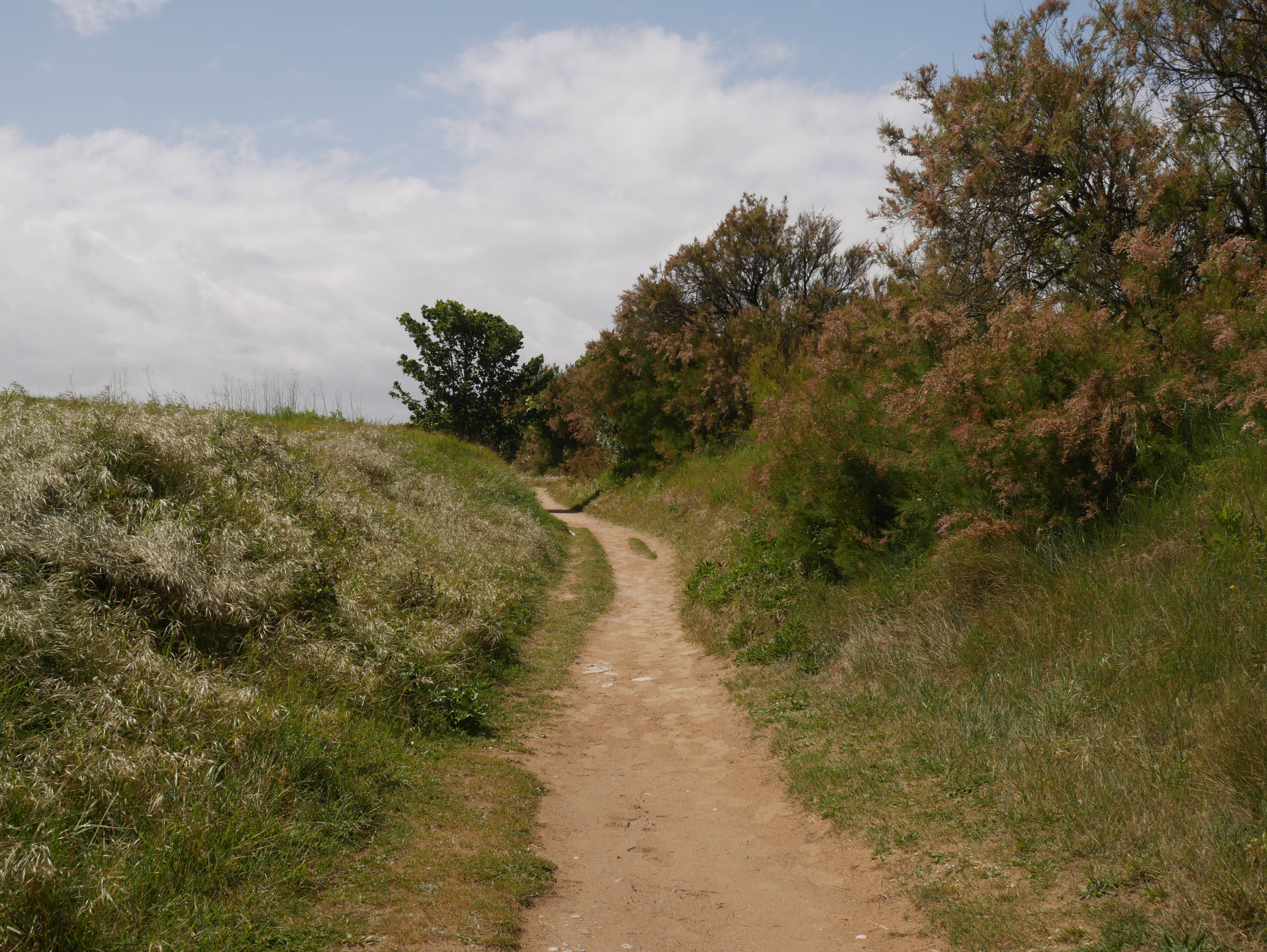 Levez les yeux ! Entre marais et manoir, le patrimoine historique et le patrimoine naturel se répondent