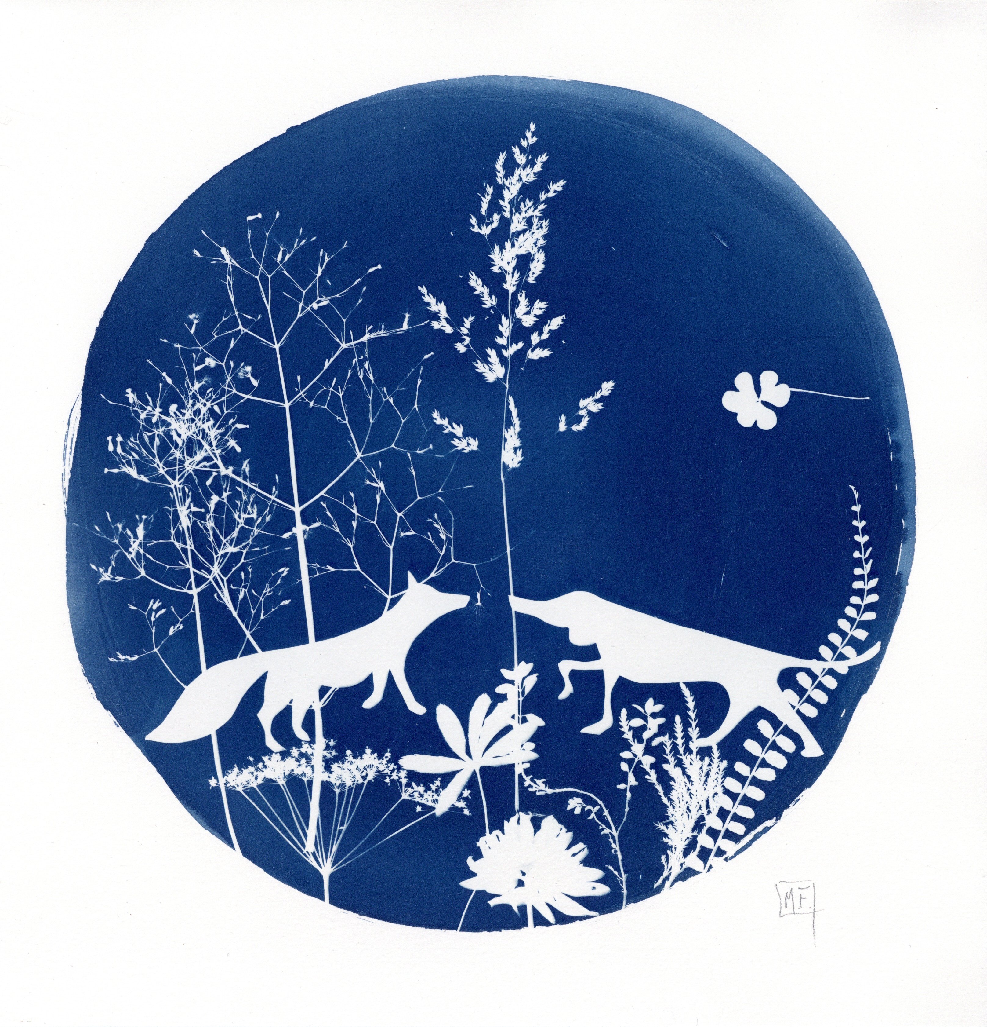 Cyanotype