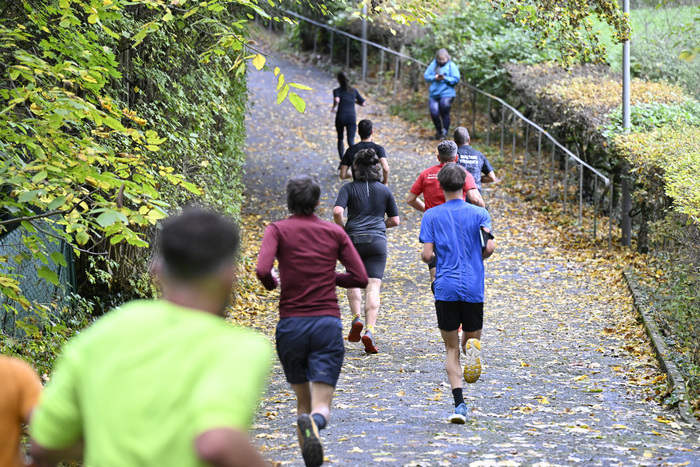 Entraînements de course à pied du soir