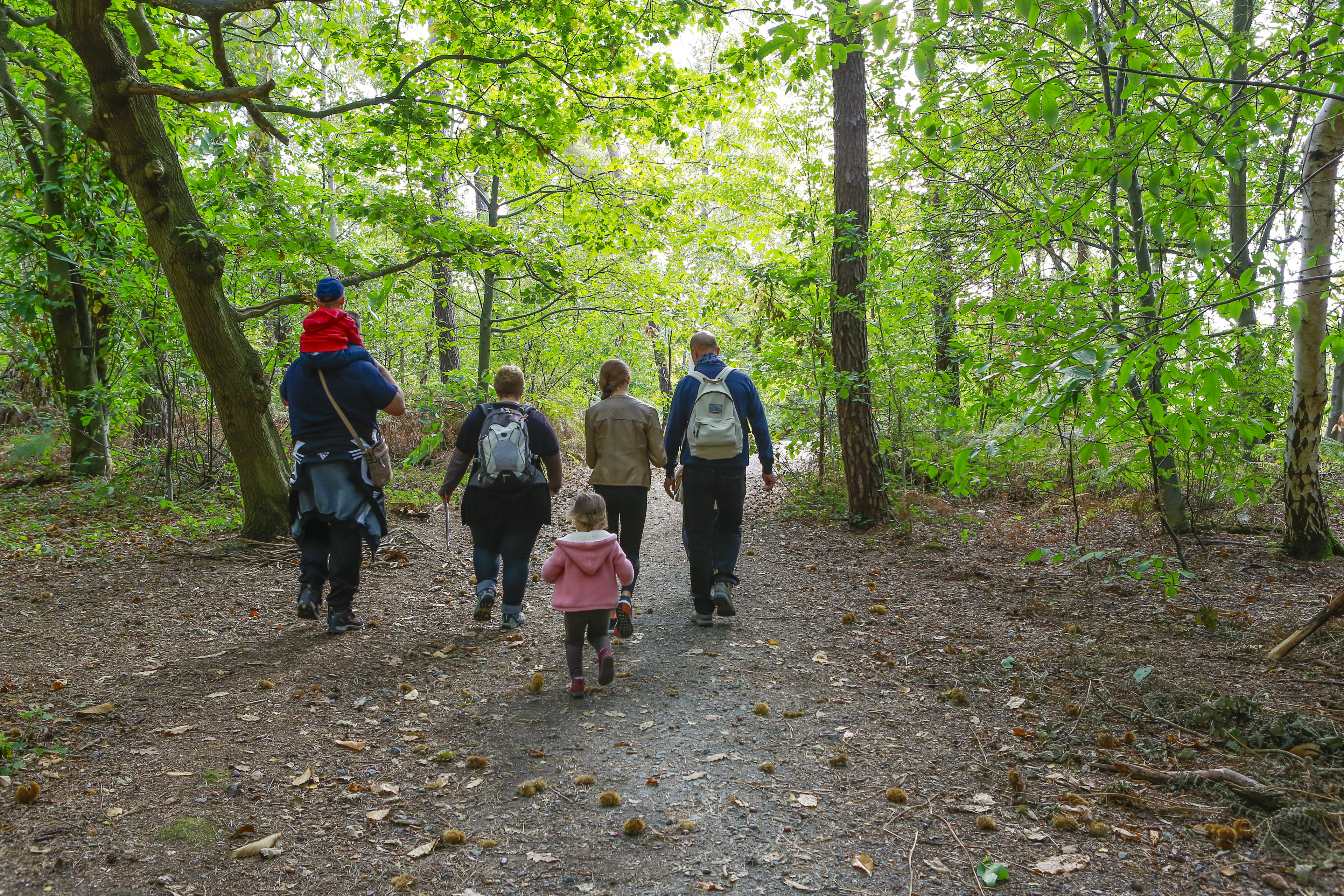 Balade contée en forêt