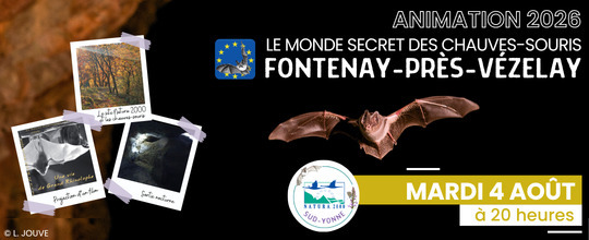 Le monde secret des chauves-souris du sud de l'Yonne