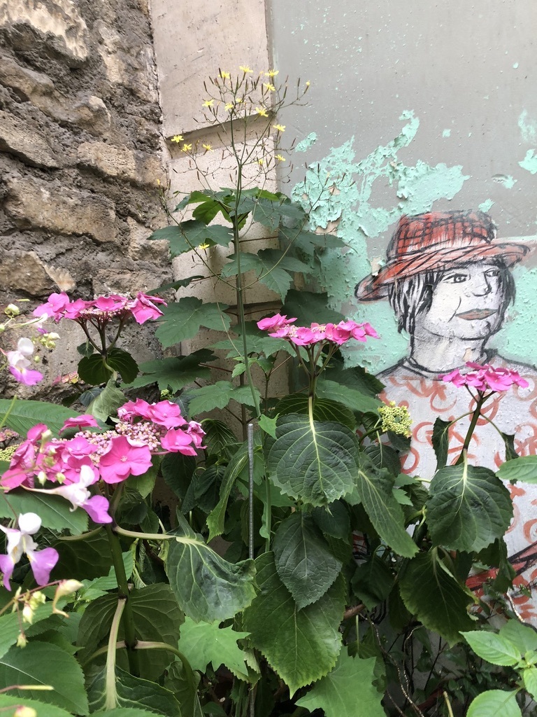 Visite guidée du Jardin de Bonne avec les jardinières