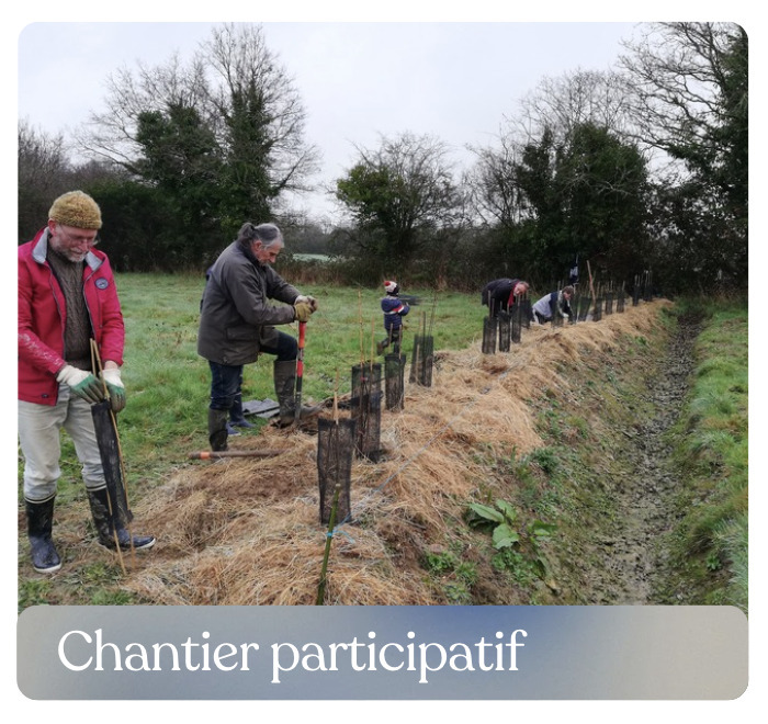 Chantier participatif : plantation de haies champêtres