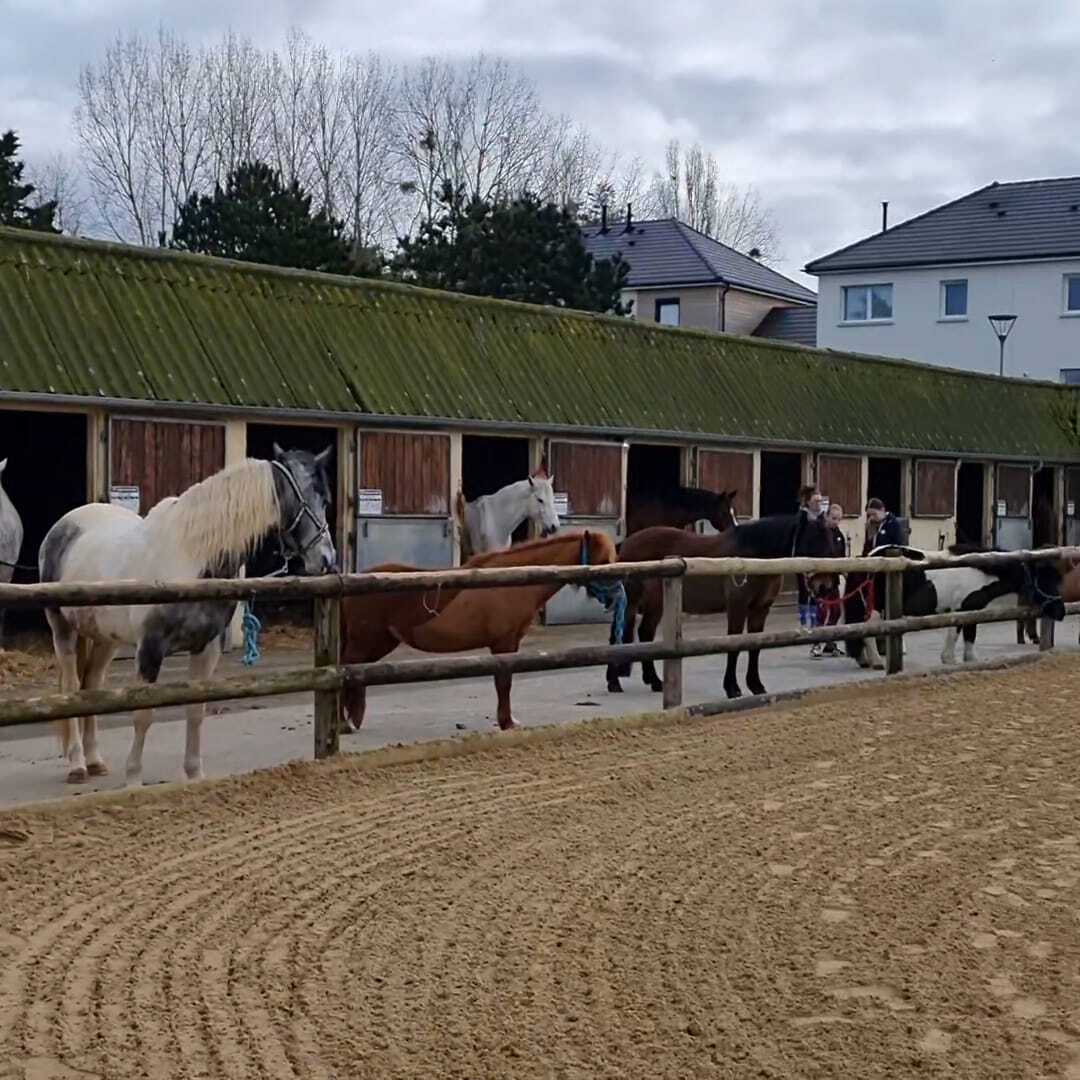 Portes ouvertes à Courseulles équitation