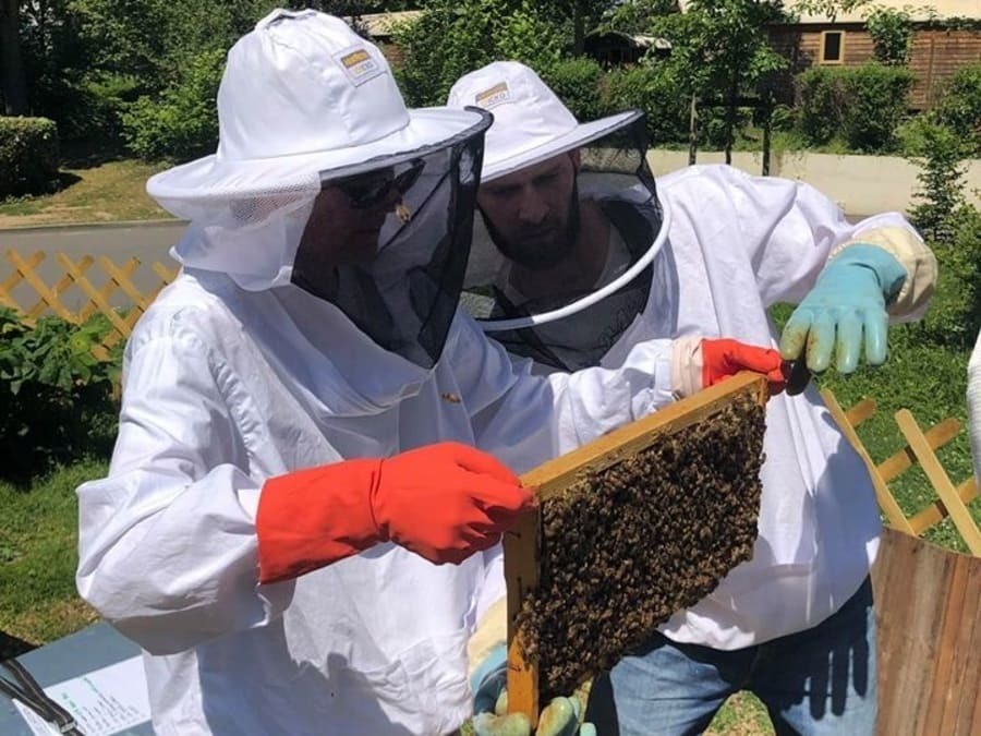 Découverte de l'apiculture à Lille