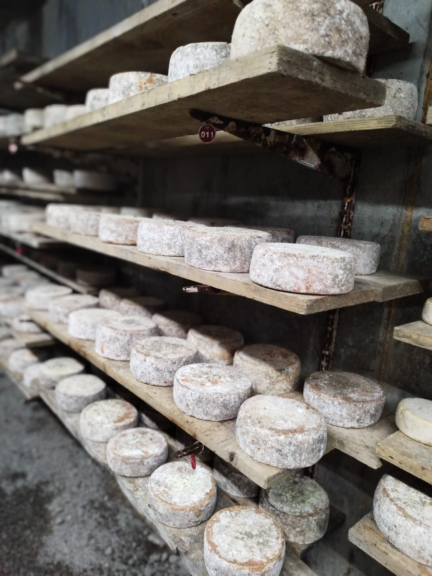 Plongez au cœur de la tradition à la ferme de la Trantsa !