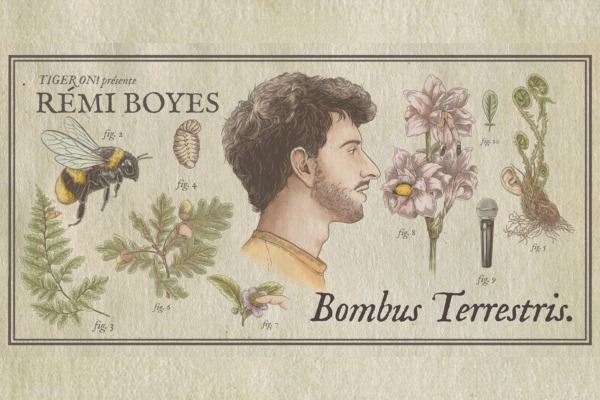 Rémi Boyes – Bombus Terrestris