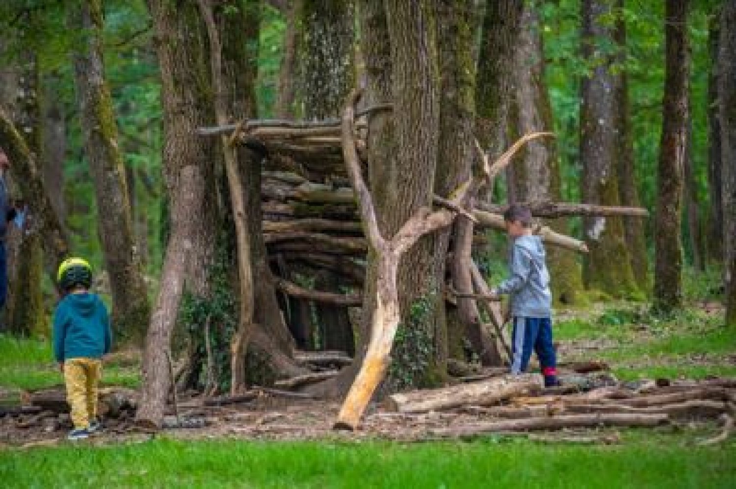 Mission Nature créative au Bois de Saint-Pierre