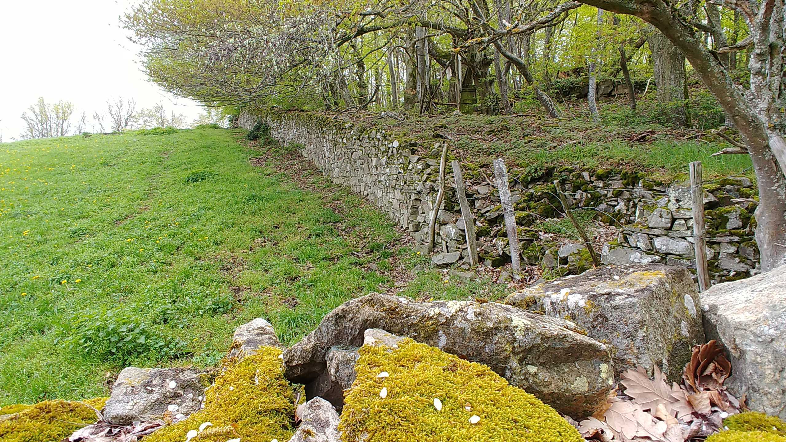 Conférence : Les murs en pierres sèches, beauté et marqueurs de nos paysages