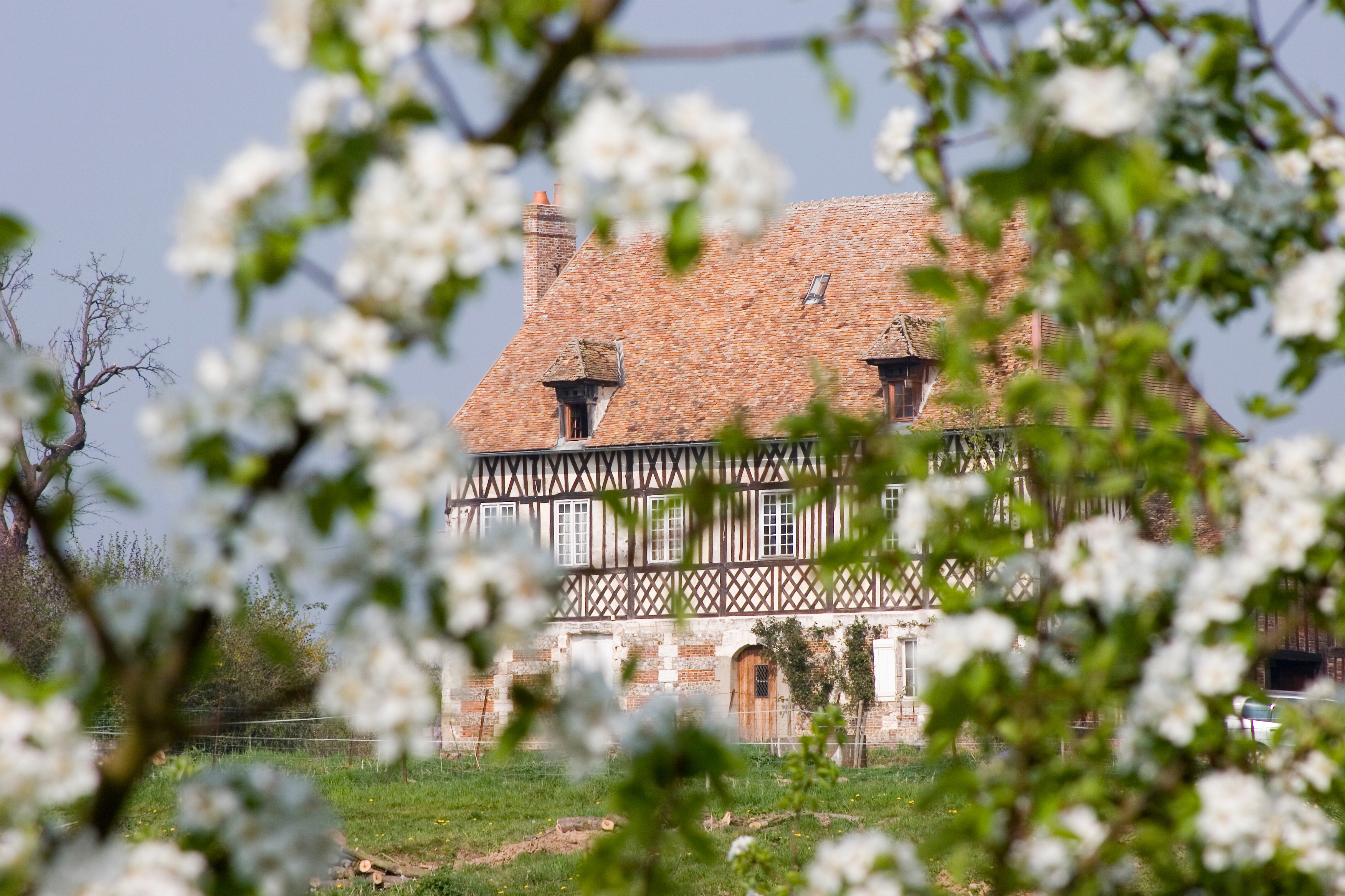Visite guidée : découverte d'un domaine cidricole depuis 3 générations