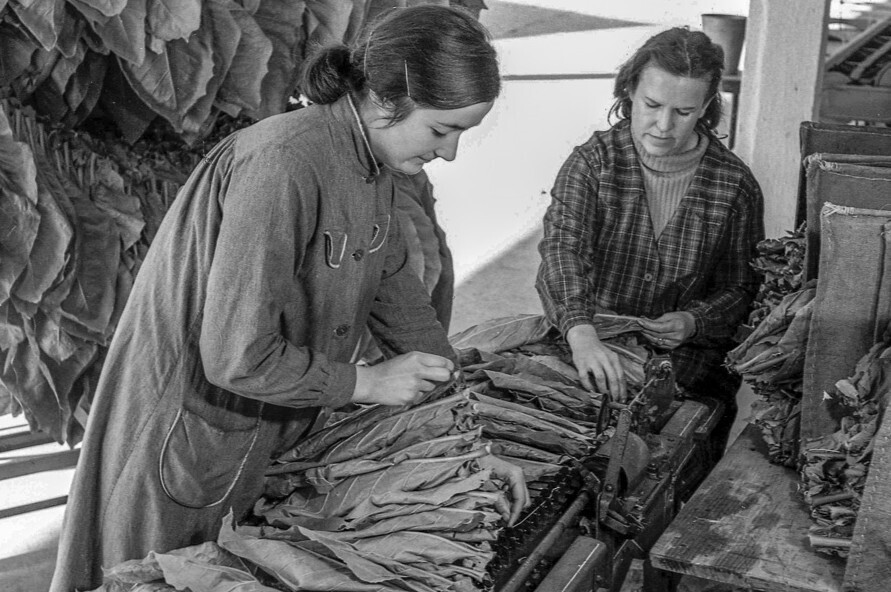 Journée du matrimoine : animations autour des ouvrières du tabac