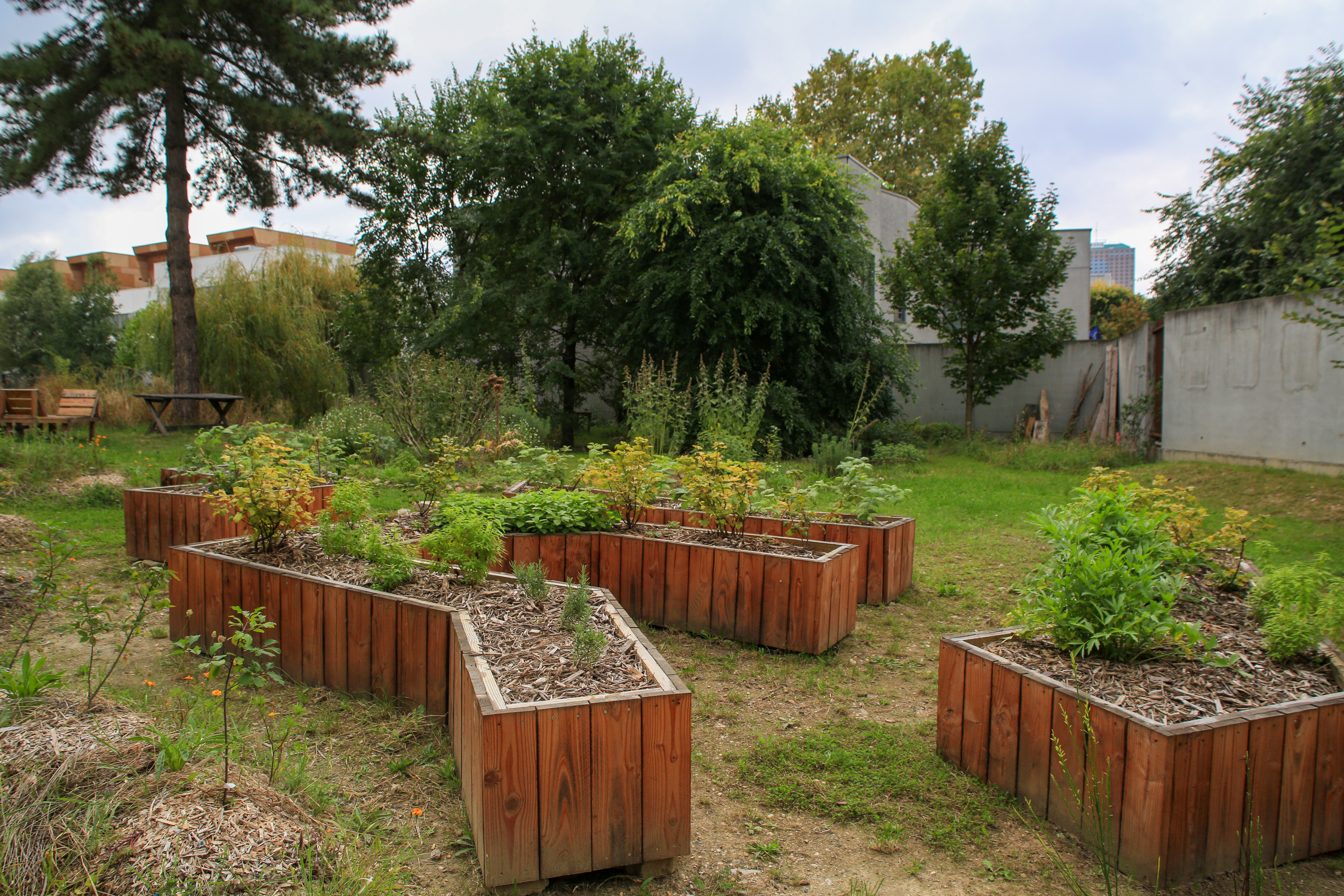 Jardins ouverts à la Cour Jardinée : ventes et rencontres